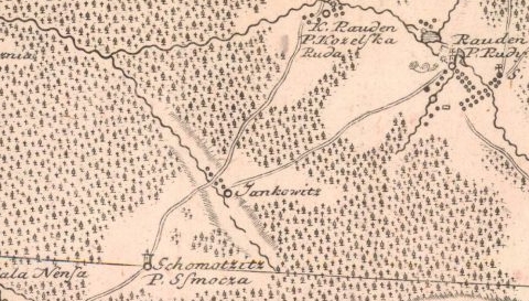 Ewolucja struktur administracyjno-sądowniczych w Jankowicach (Jankowitz Rauden) w ramach dóbr klasztornych cystersów w Rudach.